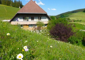 45 m² Farmhouse ∙ 1 bedroom ∙ 3 guests