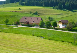 45 m² Villa ∙ 1 bedroom ∙ 3 guests