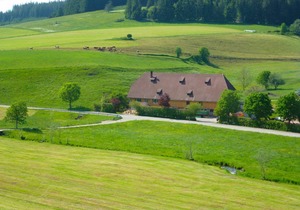 45 m² Villa ∙ 1 bedroom ∙ 3 guests