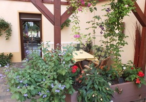 50 m² Apartment ∙ 2 bedrooms ∙ 5 guests