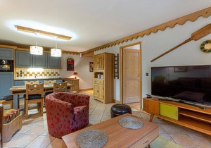 50m from ski slopes, 2nd floor, view mountain, fitness, swimming pool, sauna, hammam, balcony, tv