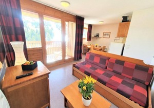 50m from ski slopes, 5th floor, view mountain, balcony, tv, ski locker, 40m², Superdévoluy