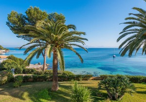 53 m² Apartment ∙ 2 bedrooms ∙ 3 guests