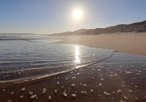 57 @ The Dunes