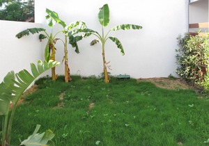 60 m² Apartment ∙ 2 bedrooms ∙ 4 guests