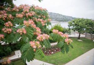 60 m² Apartment ∙ 1 bedroom ∙ 4 guests