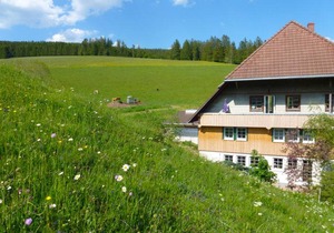 65 m² Farmhouse ∙ 1 bedroom ∙ 4 guests