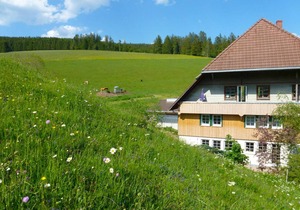 65 m² Villa ∙ 1 bedroom ∙ 4 guests