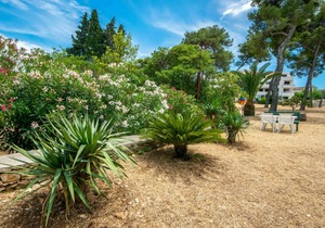 70 m² Apartment ∙ 3 bedrooms ∙ 6 guests