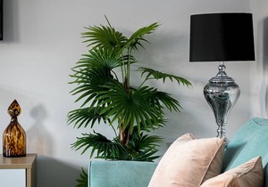 78 m² Apartment ∙ 2 bedrooms ∙ 5 guests