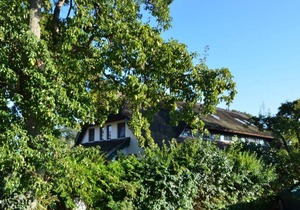 95 m² House ∙ 4 bedrooms ∙ 8 guests