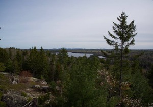 A Family Owned & Family Oriented Cabin Retreat
