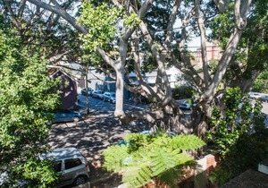 A Provincial Abode in Woollahra