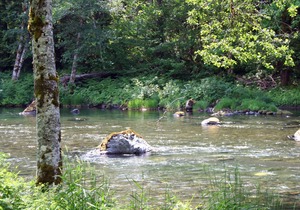 A River Runs Through It #2 Waterfront luxury with hot tub, fireplace & firepit