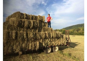 A2–Avion 2 at Hidden Hills Farm & Saddle Club