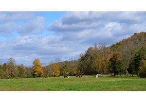A3–Airstream 3 at Hidden Hills Farm & Saddle Club