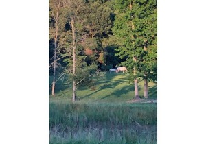 A4–Airstream 4 at Hidden Hills Farm & Saddle Club