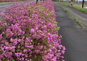 Abashiri - Hotel / Vacation STAY 16174