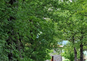 Agriturismo La Pietraia
