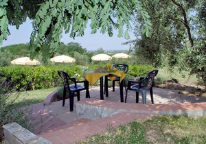 Agriturismo La Serra - Carraia