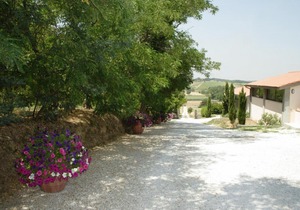 Agriturismo La Serra - Carraia