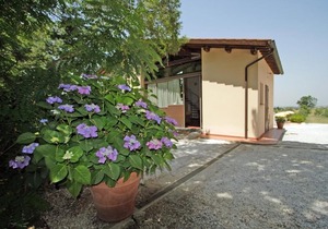 Agriturismo La Serra - Mimose