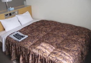 Akashi Castle Hotel