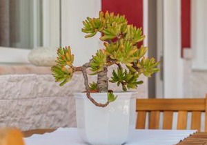 Algés Village Casa 2 by Lisbon-Coast vacation