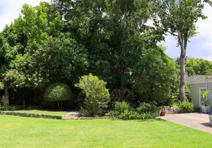 Alphen Lodge Constantia
