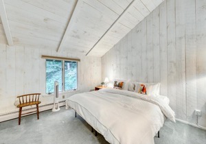 Alpine Duplex 1