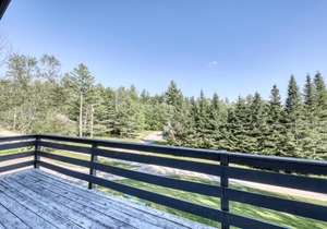 Alpine Duplex 1
