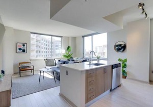 Amazing 2BR Apartment at Crystal City