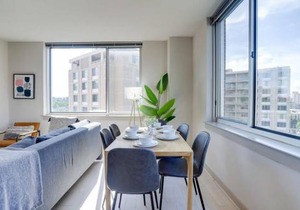 Amazing 2BR Apartment at Crystal City