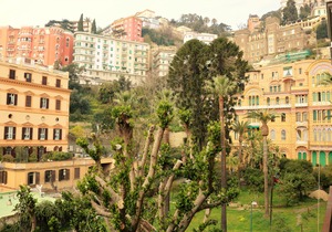 Amedeo Square