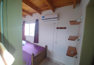 Ankara 7
