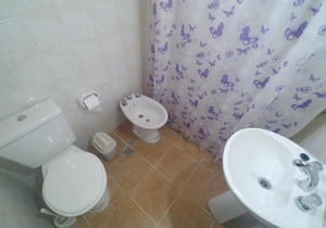 Ankara 7