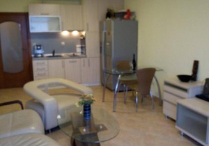 Apartment Evksinograd