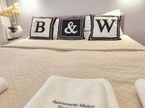 Apartament Black-White