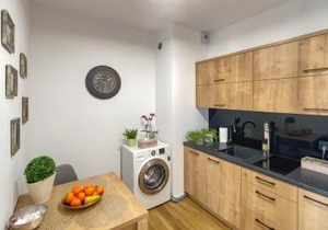Apartament Naturalny-Lake Apartments, osiedle Calamo Park-Olsztyn