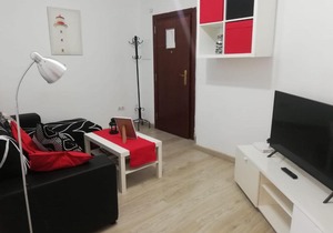 Apartamento Con Encanto "Larios Street"
