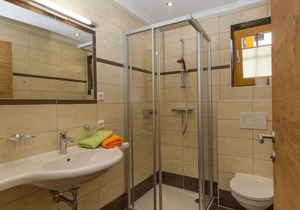 Apartment/1 bedroom/bath, WC - Haarlehenbauer, farm
