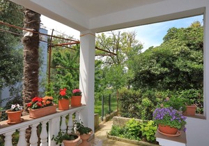Apartment Aleksandra - 10 m from sea: A4(2+2) - Bibinje, Zadar riviera, Croatia