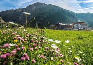 Apartment Andermatt Alpine Apartments in Andermatt - 2 persons, 1 bedrooms