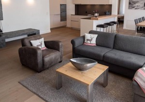 Apartment Andermatt Alpine Apartments in Andermatt - 4 persons, 2 bedrooms