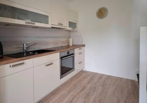 Apartment / app. for 2 guests with 65m² in Danish Nienhof (29124)