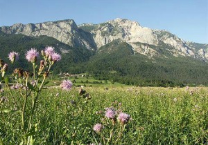 Apartment for 5 persons approx. 50 m² in Nötsch, Carinthia (Dobratsch)
