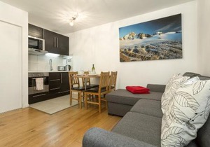 Apartment Grepon 2 - A Chamonix Alpine Haven