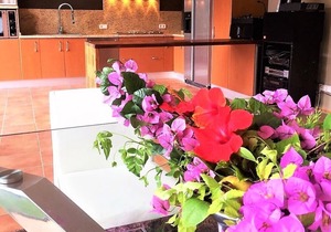 Apartment in a luxurious villa for 4 people