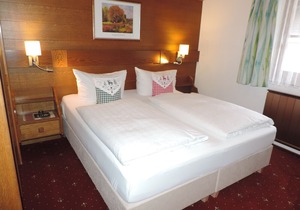 Apartment in Gästehaus Schernthaner, free admission to public. Swimming pool u. Sauna,
