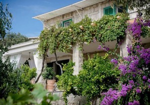 Apartment Jasna - cozy apartment in a peaceful area A2 Selca, Island Brac